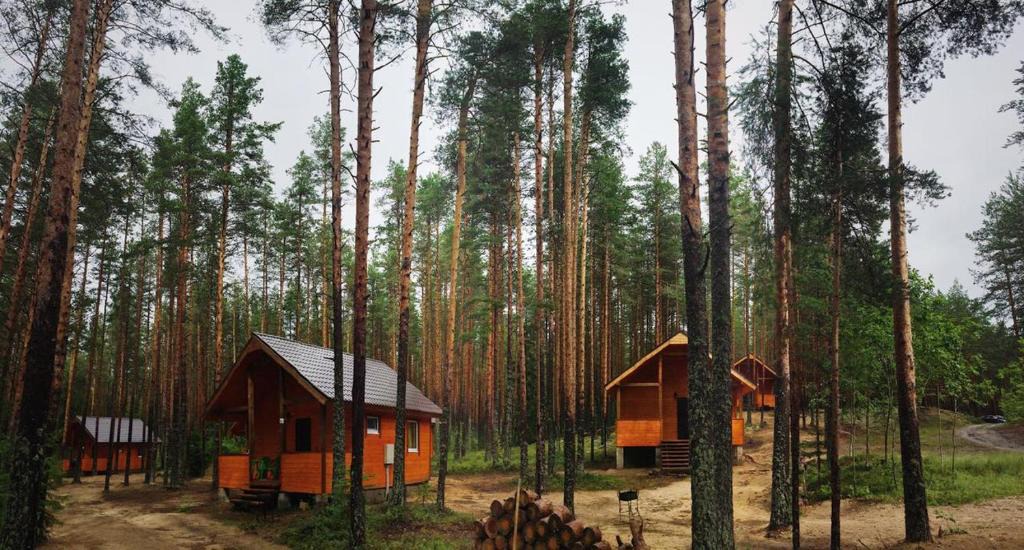 Yanegskoe Resort | Svirskaya Sloboda