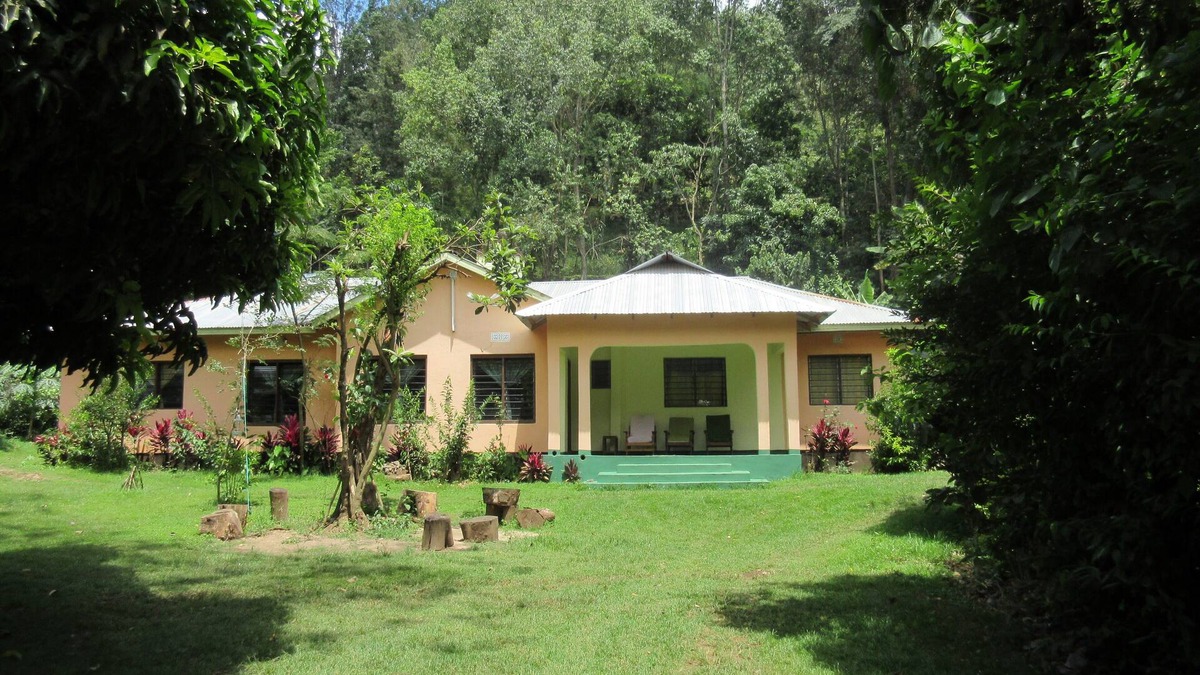 Nkoanrua House | Swai Hill Farm House