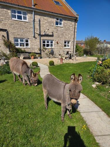 Wyke Regis Bed & Breakfast | Swallows Rest