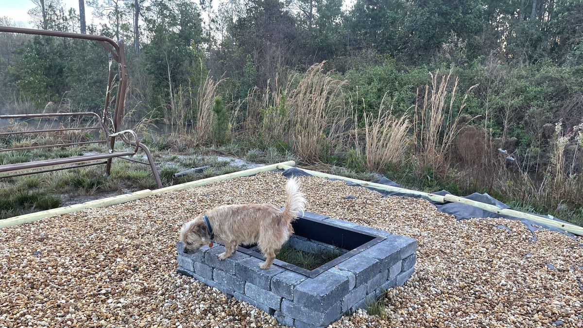 Waycross Apartment | Swamp plex