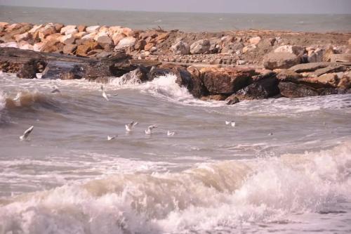 Marina di Cecina Apartment | Sweet Cecina Mare