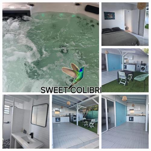 Saint-Pierre Apartment | Sweet Colibri
