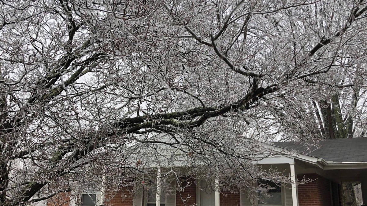 Greensboro House | Sweet Haven - Serene 3BR Family Retreat - Trees, Trails, Convenient Location