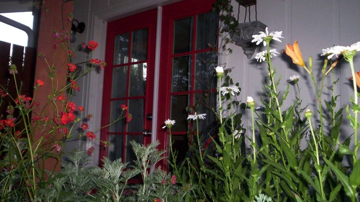 Talent Apartment | "Sweet little Garden Studio”
