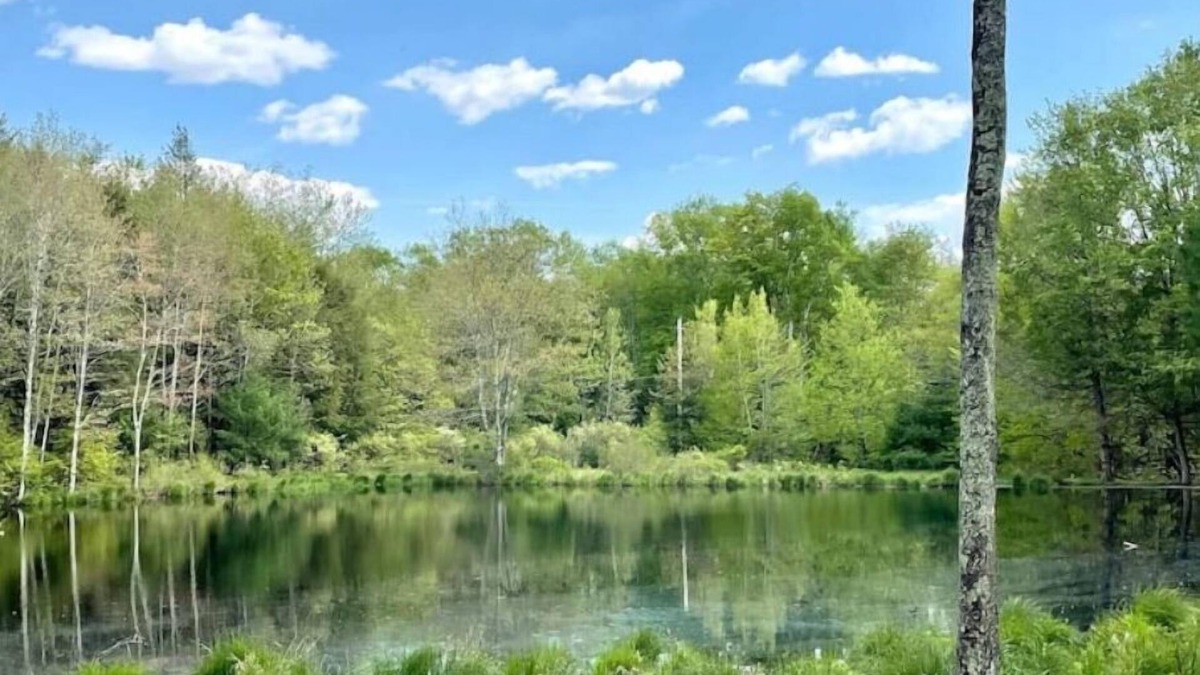 Woodridge House | Sweet Suite Tiny House w/Zen Vibes on Quiet Lake