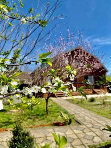 Tsqaltubo House | sweet village