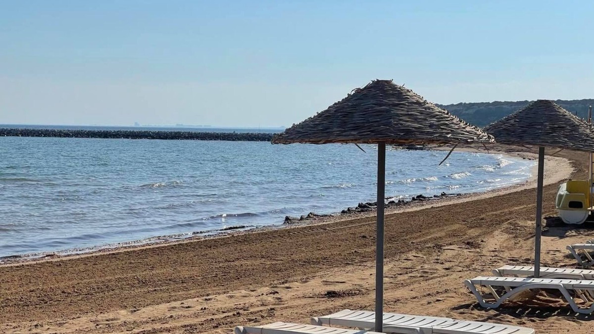Bafra Apartment | Sweetness Apartment by the Sea