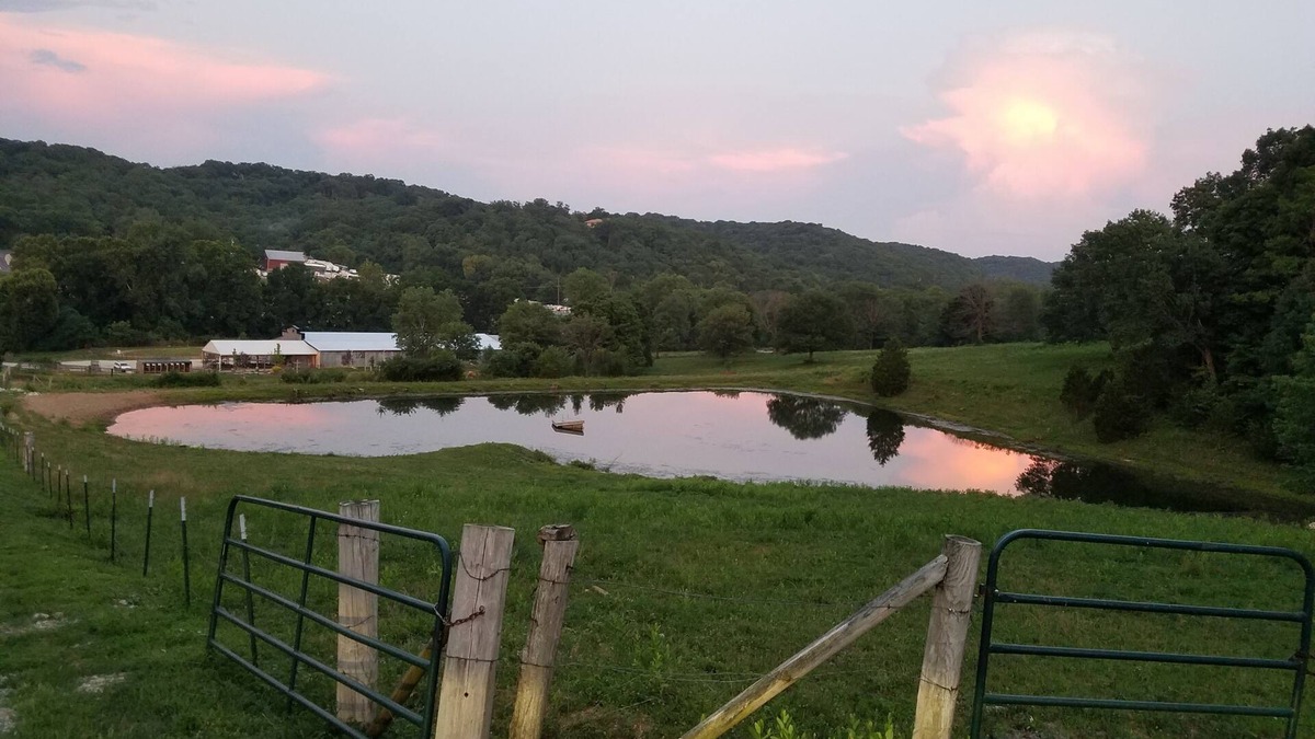 High Ridge Apartment | Swim, Fish, Hike, Horseback