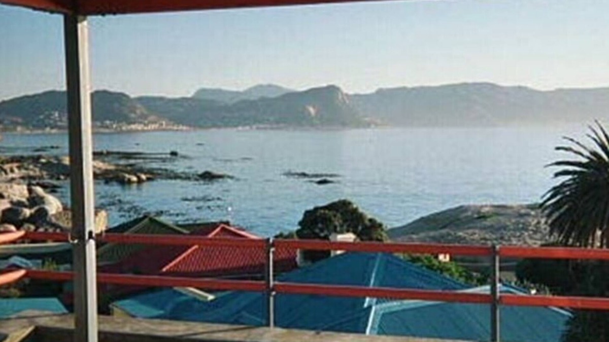 Simon's Town House | Swim with the Penguins!