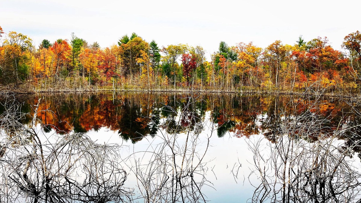 Plainfield Cabin | Swimming,boat,kayak,fish,BBQ,ATV,hike,Huge Deck,pets,Nordic MT- ski,tube,private