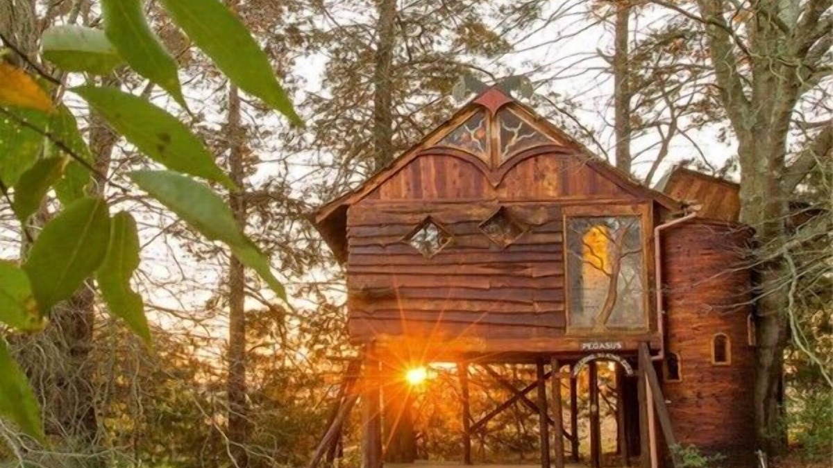 Mooirivier House | Sycamore Avenue Treehouses