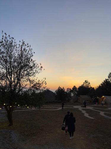 Bac Yen Cabin | Tà Xùa Glamping