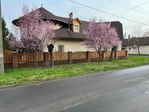 Taksony Bed & Breakfast | Tüskevár Panzió