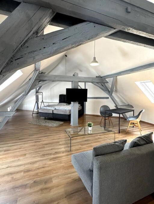 Marktheidenfeld Apartment | T-Apartments