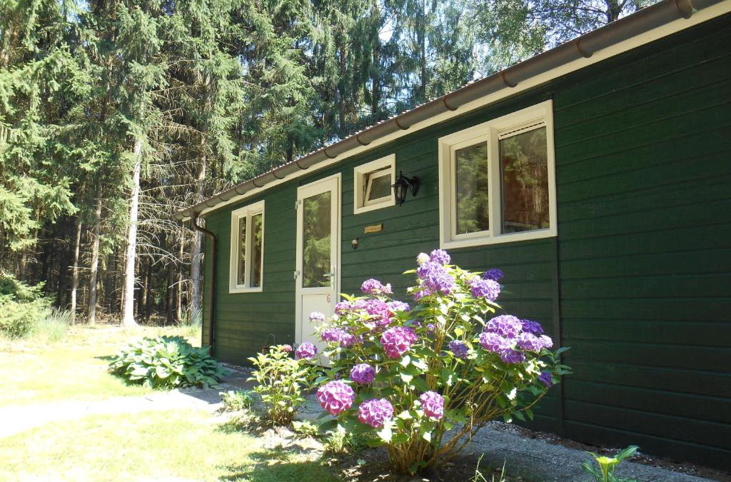 Beuningen Ski Chalet | T Zommerhuuske