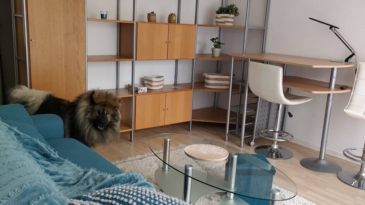 Lestonat - Monsejour Apartment | T1bis Meublé Parc Bourran Mérignac