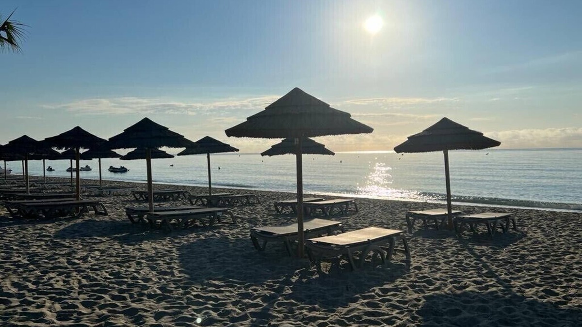 Santa-Lucia-di-Moriani Apartment | T2 apartment of 40m2 feet in the water + swimming pool