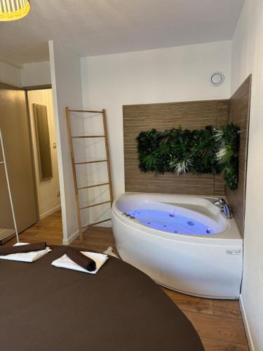 Tournefeuille Apartment | T2, Balneo, sauna, lit rond, jeux arcades, parking