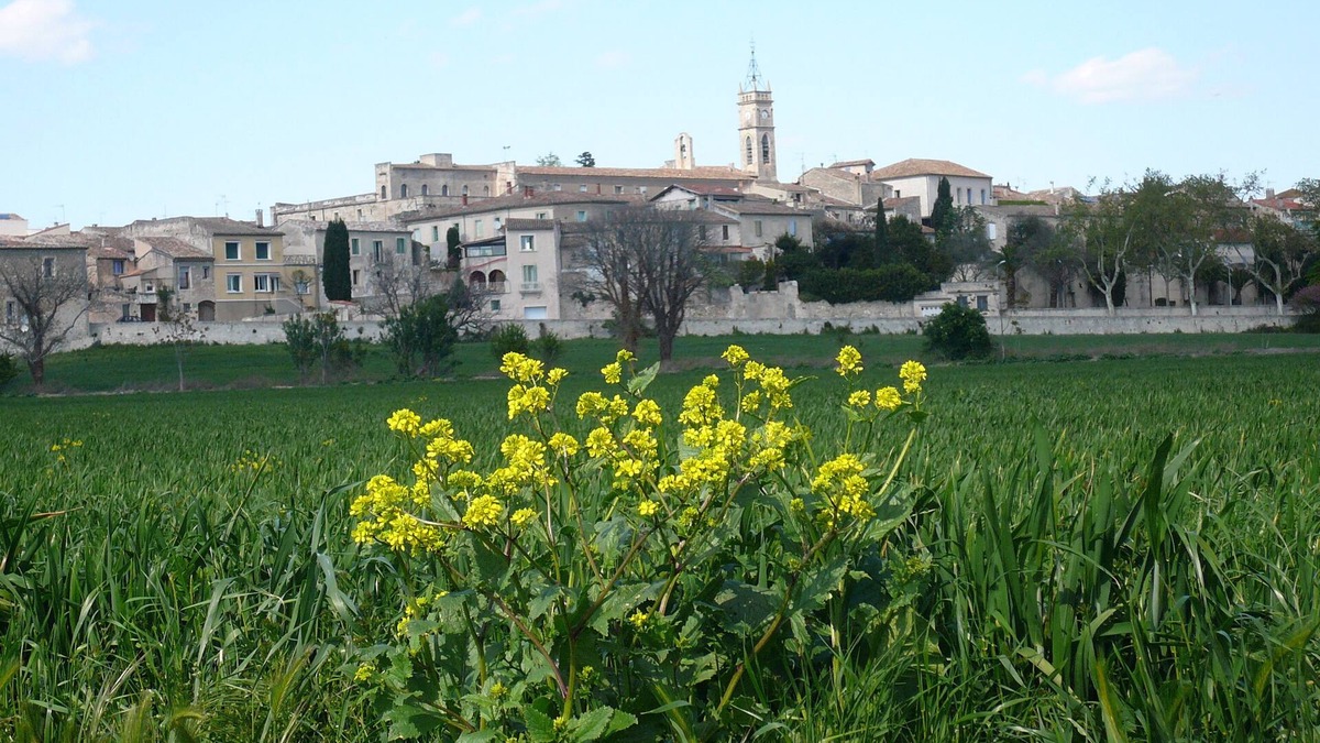 Saint-Genies-des-Mourgues Apartment | T2 in the countryside in a village near the coast
