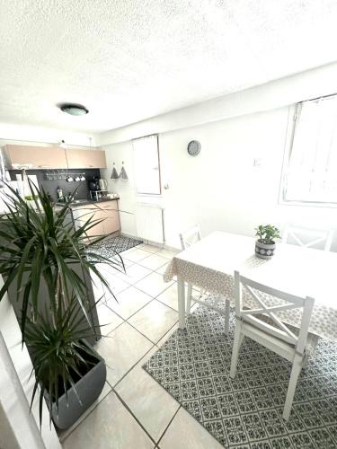 Chambery Apartment | T2 La roseraie