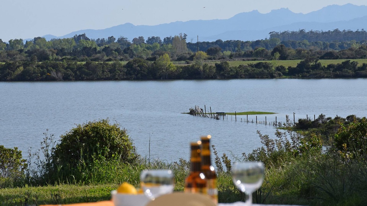 Aleria Apartment | T2, Pleine Nature, lakeside, large garden, Beaches within 7 km, Air-conditioned, WiFi