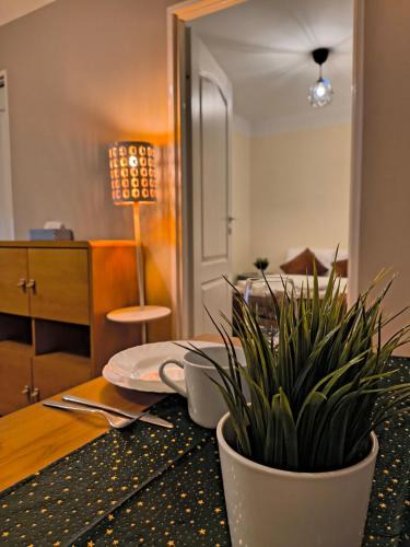 Wiewiorczyn Apartment | Tabago Studio 27