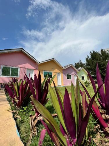 Littoral Department Hotel | Tahiti Hotel