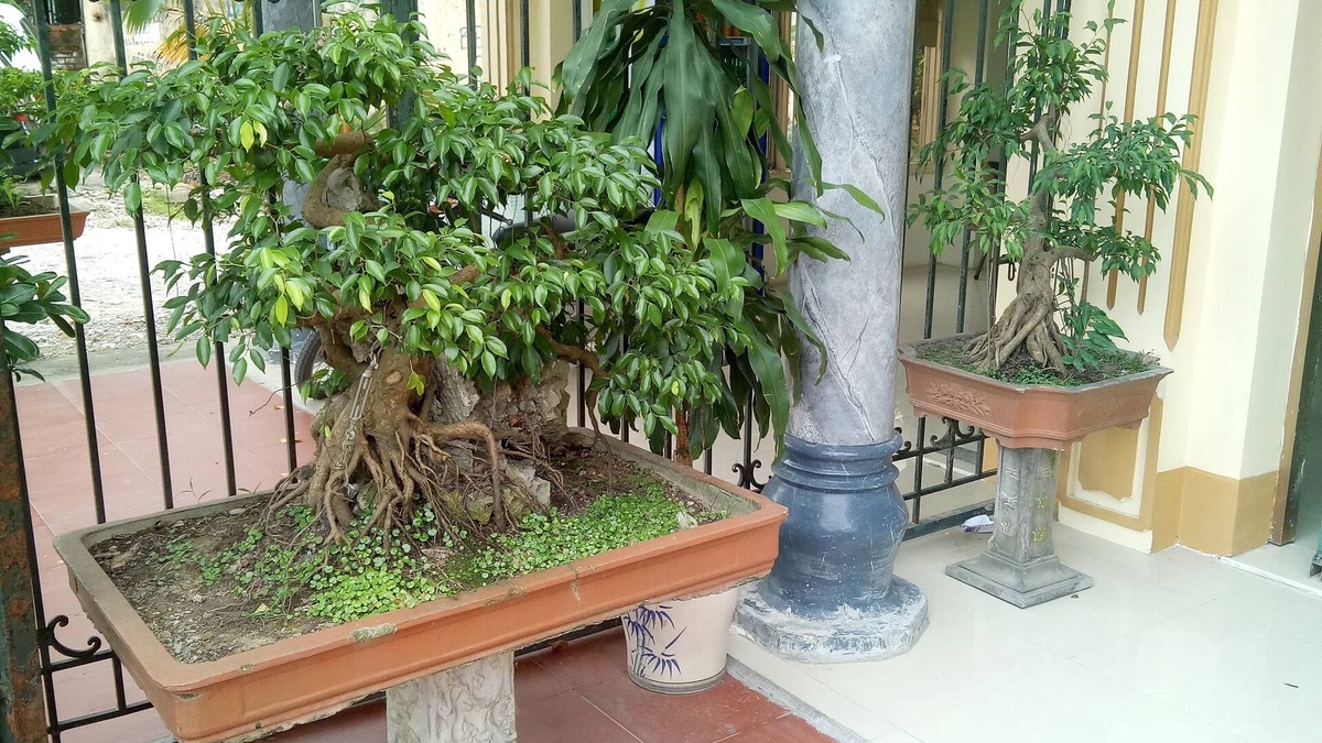 Thanh Hoa Hotel | Tai Hoa Motel
