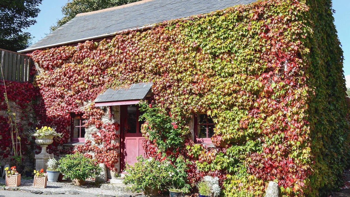Saint Erth Praze Cottage | Take a break with a special someone to this truly rural setting.