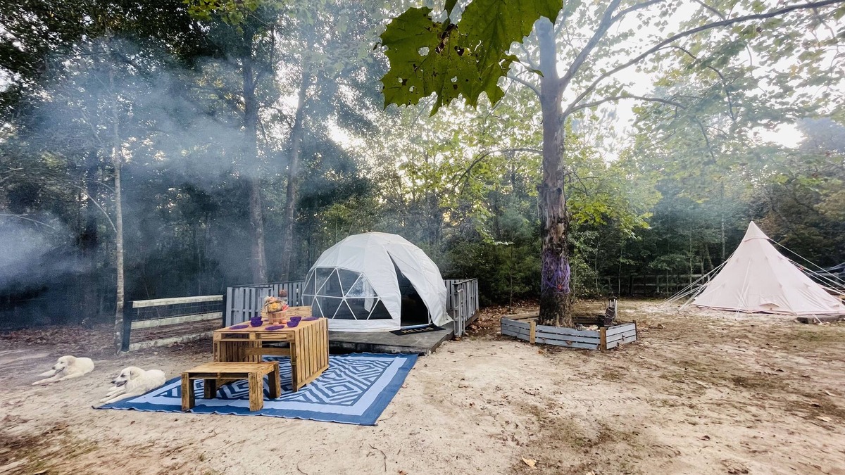 Tallahassee Villa | Tally Glamping Farmstay GIMPY’S GEODOME with mini horses, goats, cows, chickens