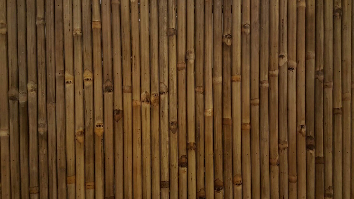 Hue City Centre Bed & Breakfast | Tam Homestay Hue Viet Nam