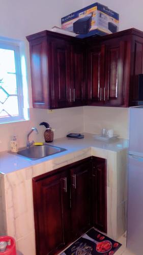 Ocho Rios Apartment | Tamaras Inn