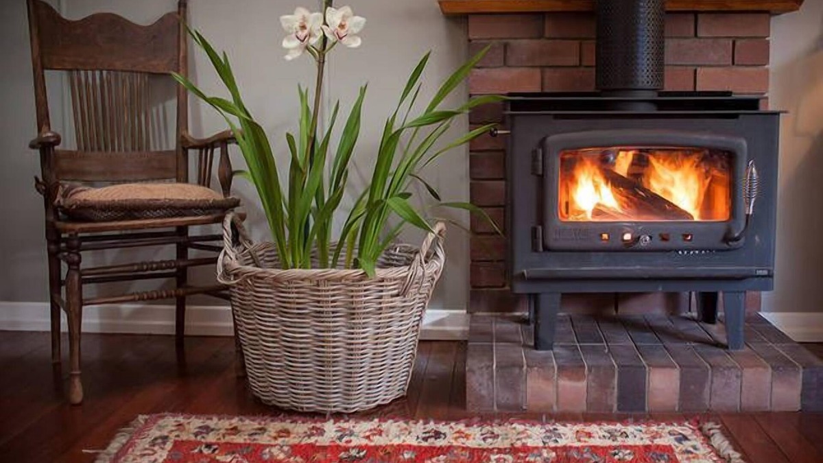Maleny House | Tamarind Street Cottage. Maleny, Queensland
