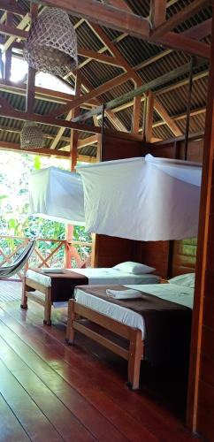 Tambopata Bed & Breakfast | Tambopata Edosikiana Ecolodge