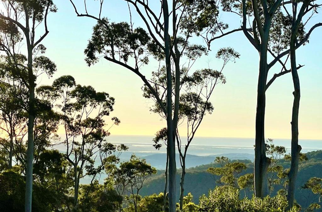 Mount Tamborine Apartment | Tamborine Mountain Lodge