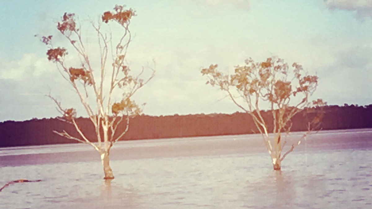 Coongulla House | Tamboritha by the lake