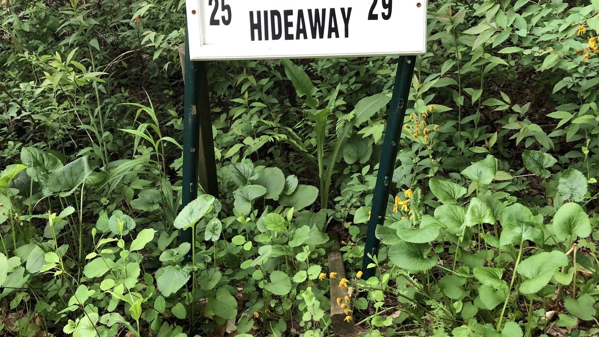 Weaverville Cottage | Tami's Hideaway - Nature and Comfort at this Private Asheville Getaway