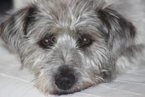 Pellworm Apartment | Tammwarftshof