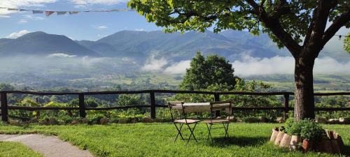 Pedali Apartment | Tana Libera Tutti 2 Nature, Yourself, Love