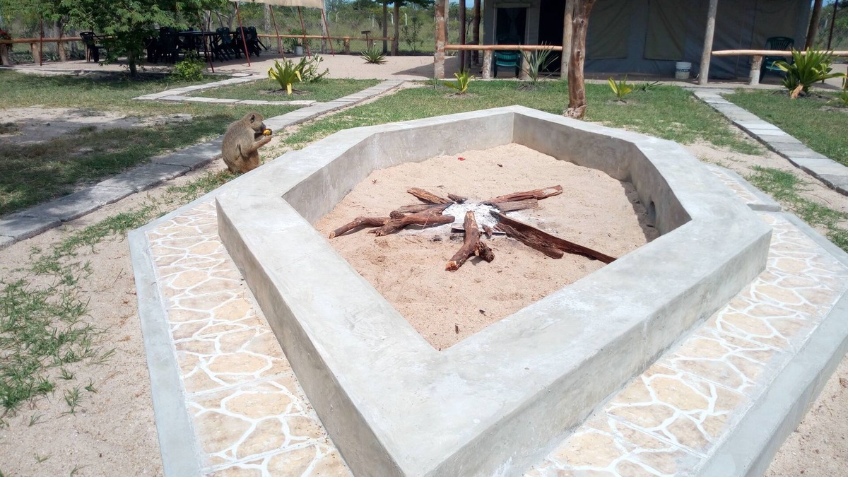 Saadani National Park Other | Tanganyika Coastal Campsite