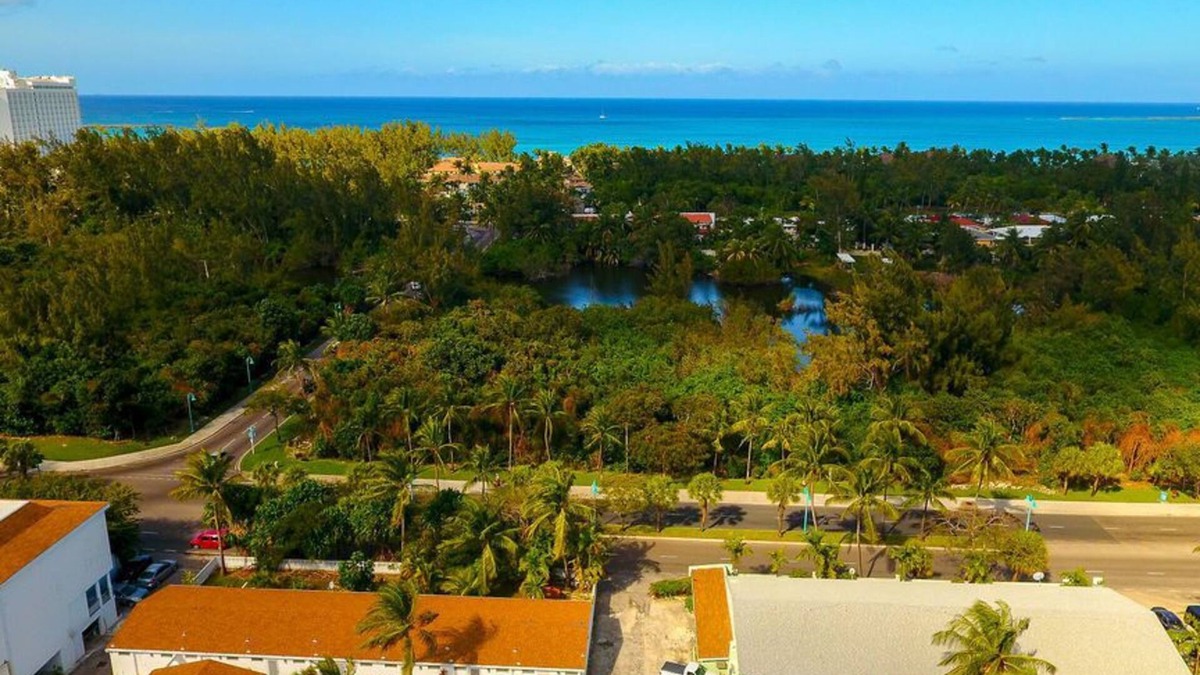 Paradise Island Apartment | Tangerine Sunsets Seville