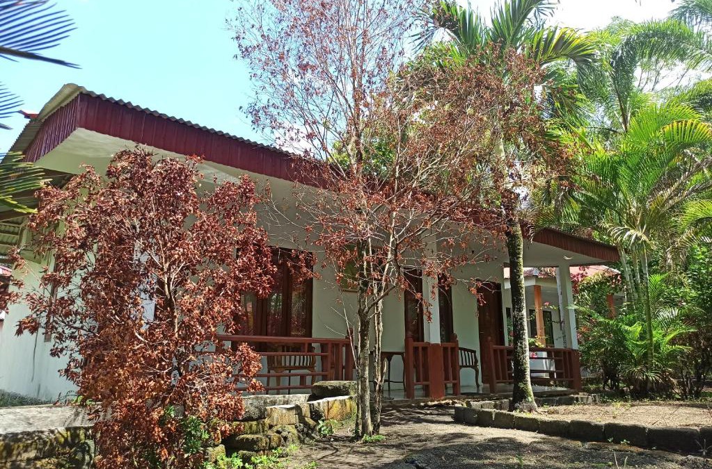 Marinsow House | Tangkoko Jungle Homestay