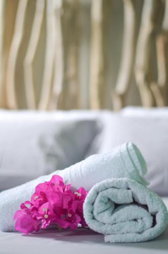 Grand Riviere Hotel | Tante Arlette