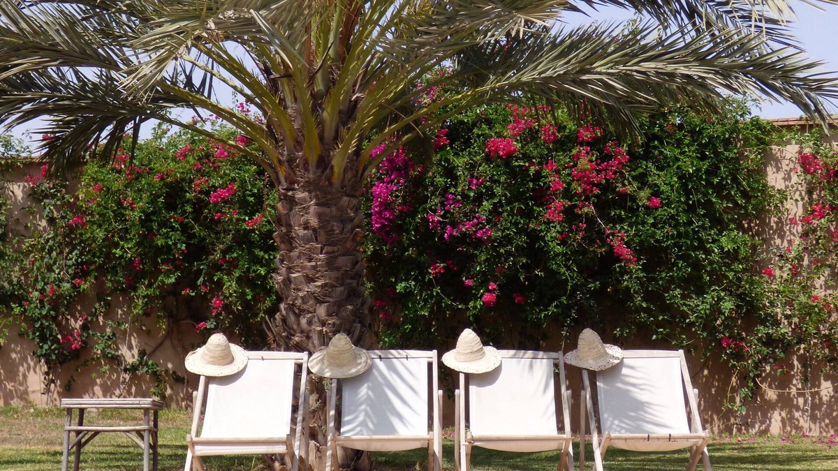 Machraa El Ain House | Taroudant Talaa: Mansion - Talaa-Taroudant