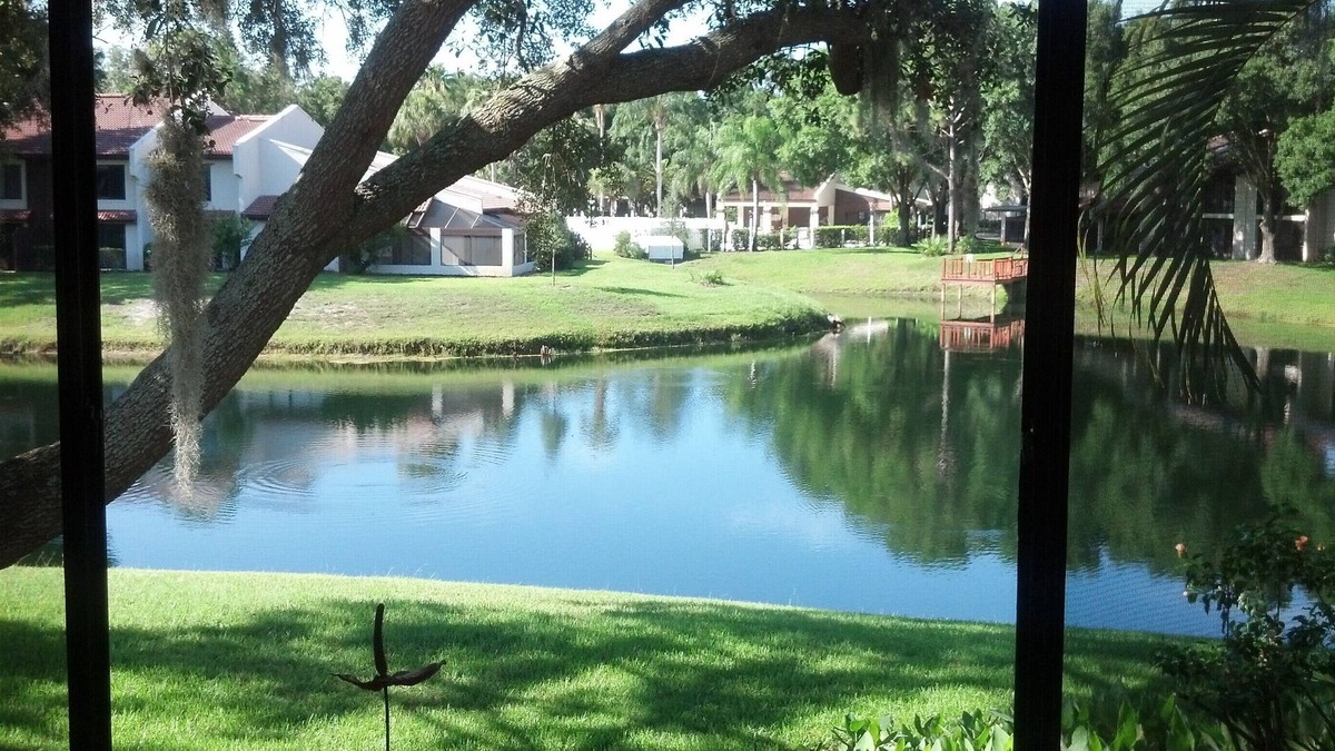 Palm Harbor Condo | Tarpon Woods Condo with Lake View