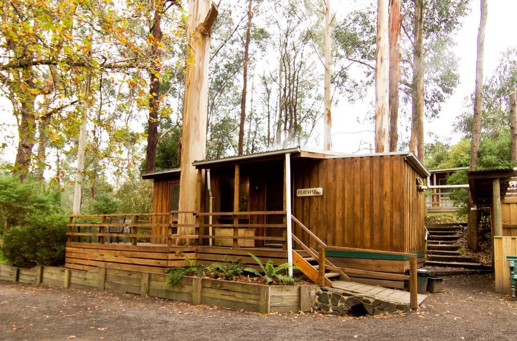 Tarra Valley Other | Tarra Valley Retreat
