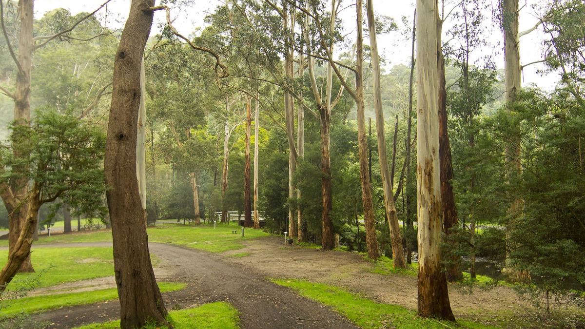 Tarra Valley Cabin | Tarra Valley Retreat