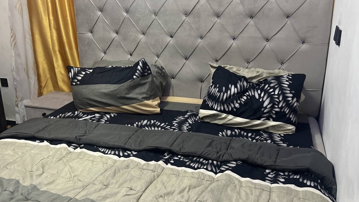 Mushin Apartment | Tastefully Furnished 2 bedroom apartment in Thomas estate, lekki Lagos