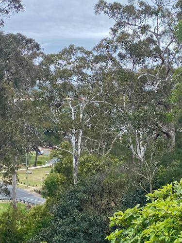 Tathra Apartment | Tathra Views