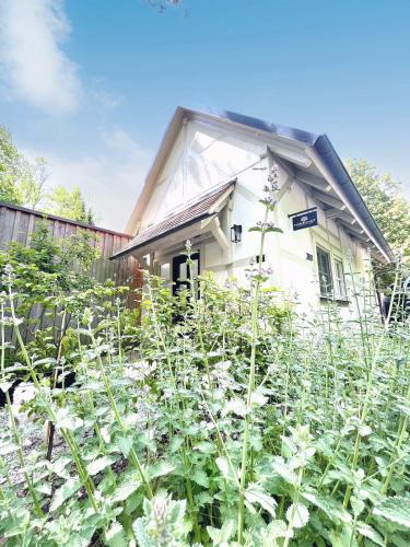Rothenburg ob der Tauber House | TauberChalet I Privates Boutique-Ferienhaus mit Whirlpool, Sauna, Garten, Naturmagie & ZellBoost für bis 7 Personen